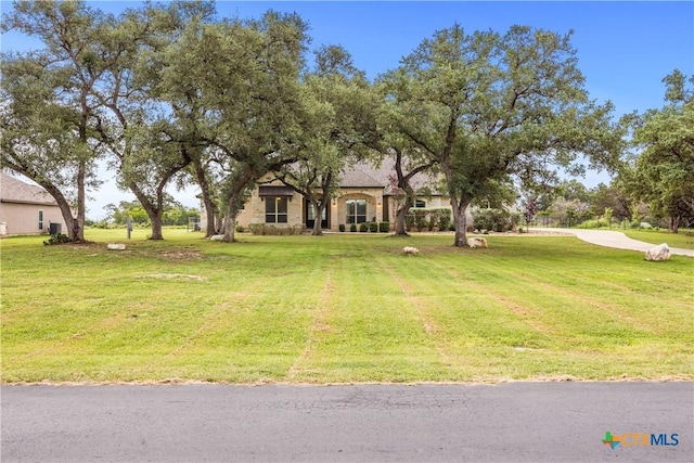 2718 Beaver Ln, New Braunfels, TX 78132 - view of front of property with a front yard