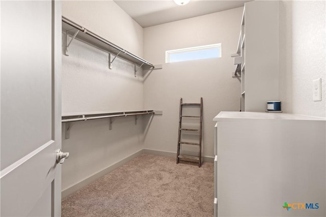 2718 Beaver Ln, New Braunfels, TX 78132 - walk in closet with carpet
