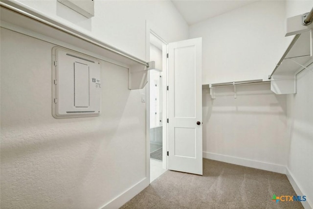 walk in closet with light carpet