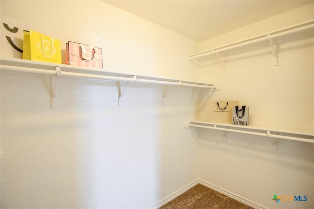 7202 Bose Ikard Dr, Killeen, TX 76549 - walk in closet with carpet floors