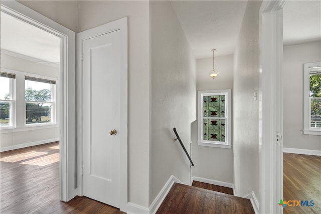 stairway featuring hardwood / wood-style flooring and a healthy amount of sunlight