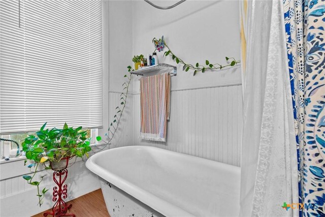527 W San Antonio St, San Marcos, TX 78666 - photo 38