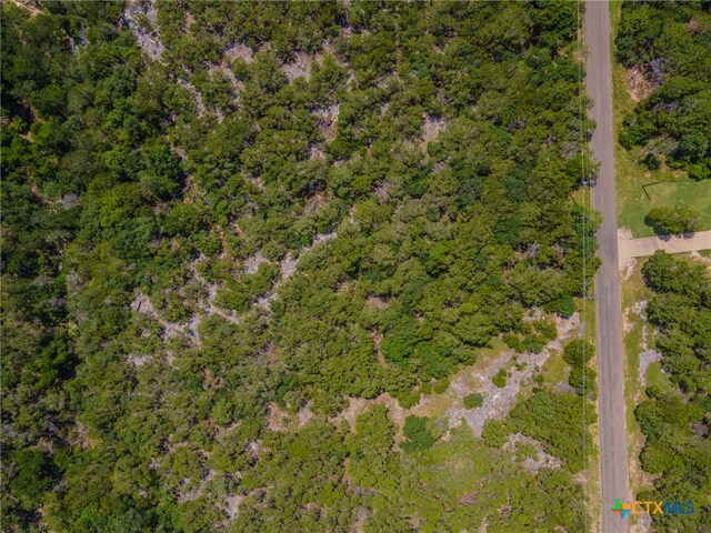 15963 Brazos Dr, Temple, TX 76502 - photo 5
