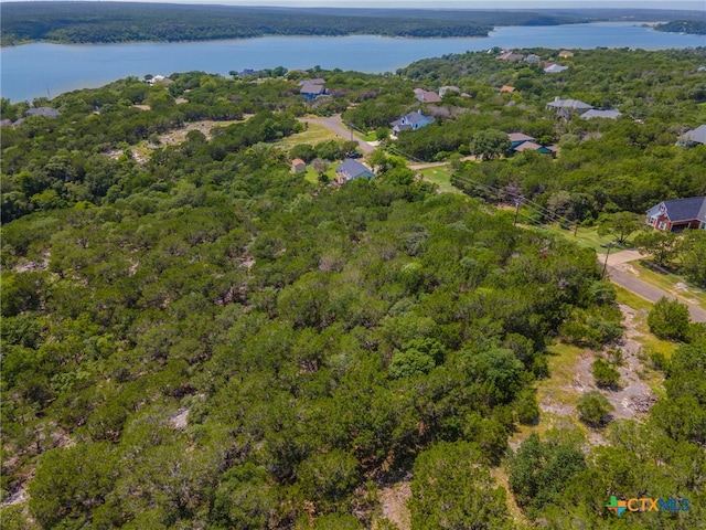15963 Brazos Dr, Temple, TX 76502 - photo 6