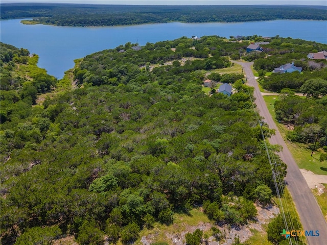 15963 Brazos Dr, Temple, TX 76502 - photo 4