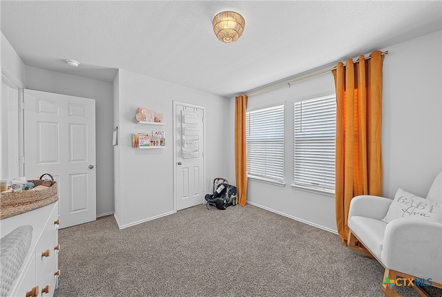 living area featuring a textured ceiling and carpet floors