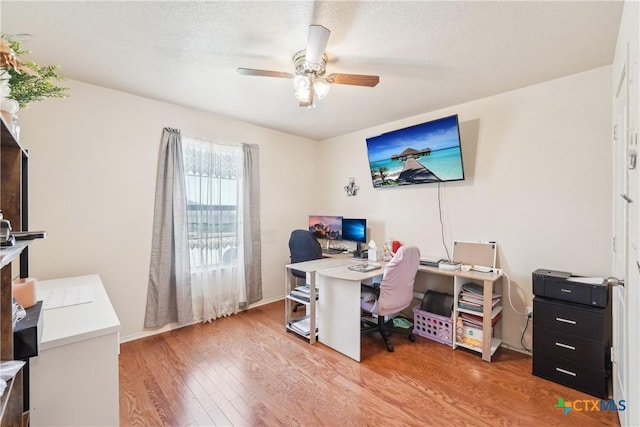 office area featuring a ceiling fan and light wood-style floors