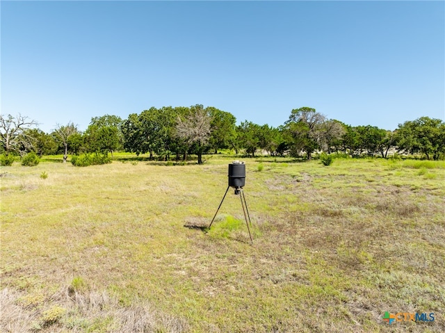 view of yard featuring a rural view