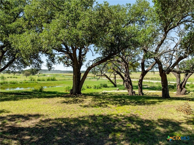 view of yard featuring a water view and a rural view