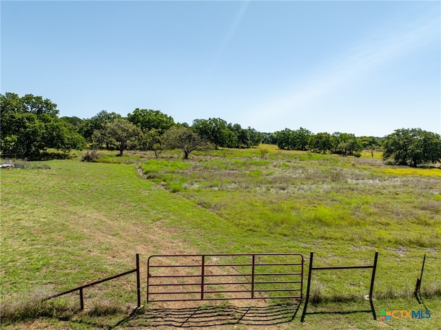 view of yard with a rural view