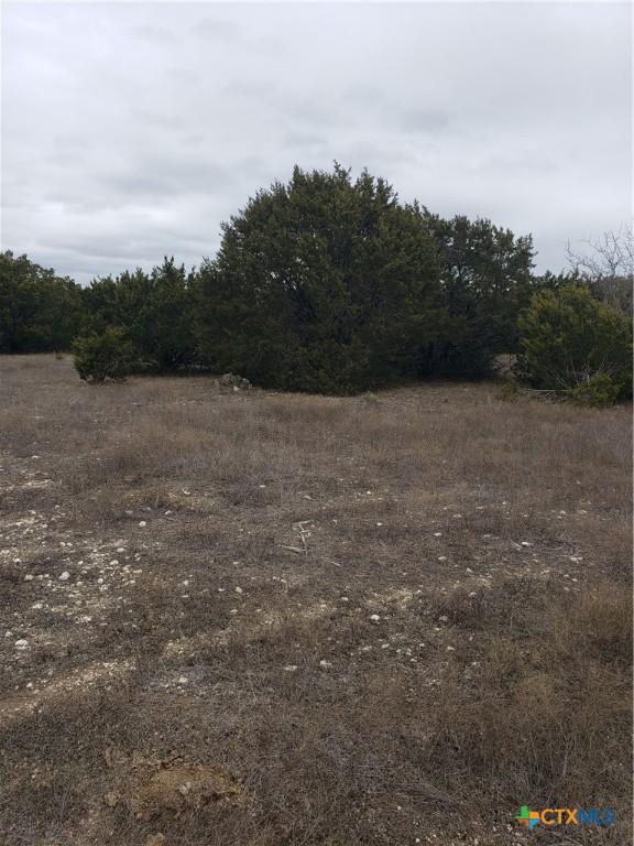 Listing photo 2 for LOT65 Estate View Cir, Lampasas TX 76550