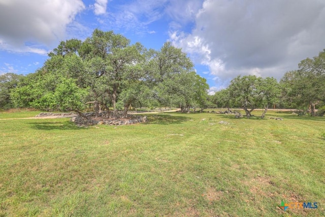 3032 Rolling Oaks Dr, New Braunfels, TX 78132 - photo 43