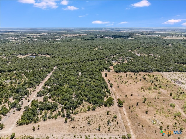 Listing photo 3 for 19910 Hog Eye Rd, Manor TX 78653