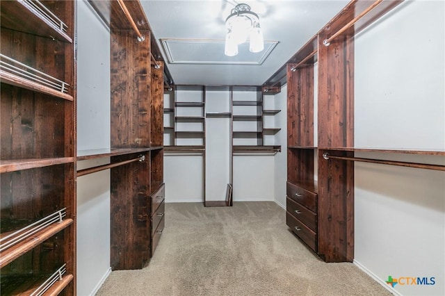 spacious closet with light carpet