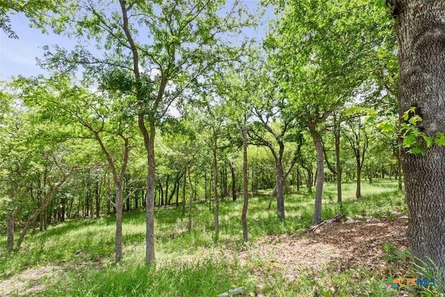 219 Fairway Dr, Gatesville, TX 76528 - photo 23