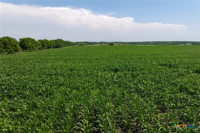 LOT3 County Road 425, Thorndale, TX 76577
