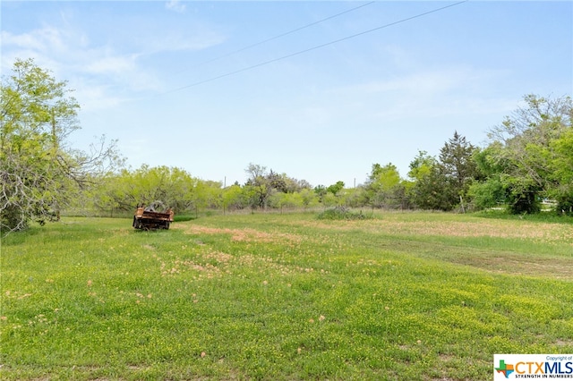 view of yard with a rural view