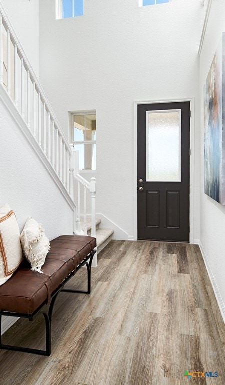 entrance foyer featuring light hardwood / wood-style flooring, a towering ceiling, and plenty of natural light