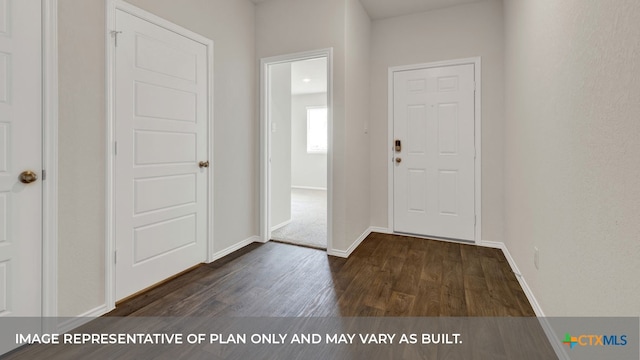 entrance foyer with dark hardwood / wood-style flooring