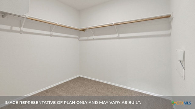 walk in closet featuring carpet floors