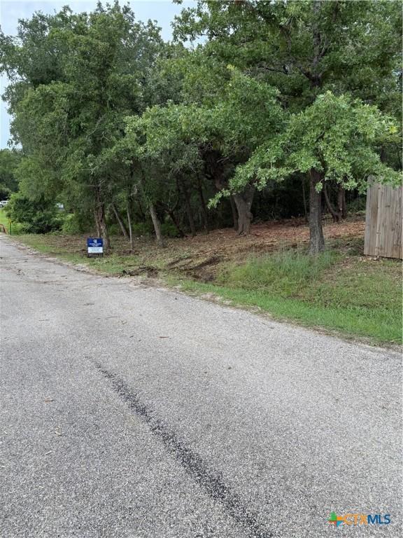 TBD Tejas, Smithville, TX 78957 - photo 1