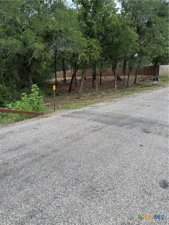 TBD Tejas, Smithville, TX 78957 - photo 2
