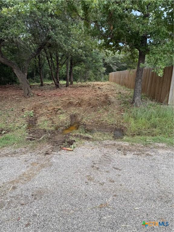 TBD Tejas, Smithville, TX 78957 - photo 3