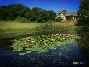 16100 S Great Oaks Dr Unit 2503, Round Rock, TX 78681 - photo 29