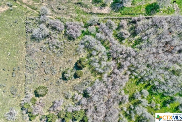 TBD Shiloh Rd, Bastrop, TX 78602