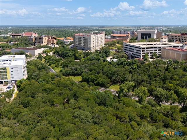 1013 Chestnut St, San Marcos, TX 78666 - photo 22