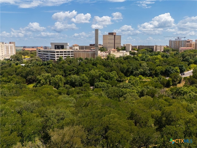 1013 Chestnut St, San Marcos, TX 78666 - photo 19