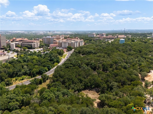 1013 Chestnut St, San Marcos, TX 78666 - photo 20