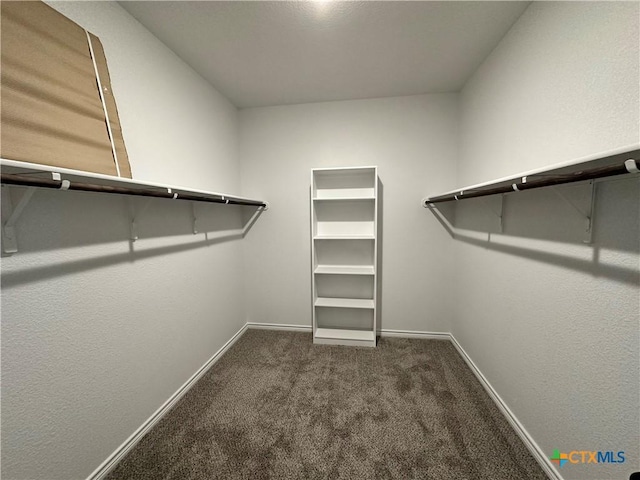 spacious closet featuring dark carpet