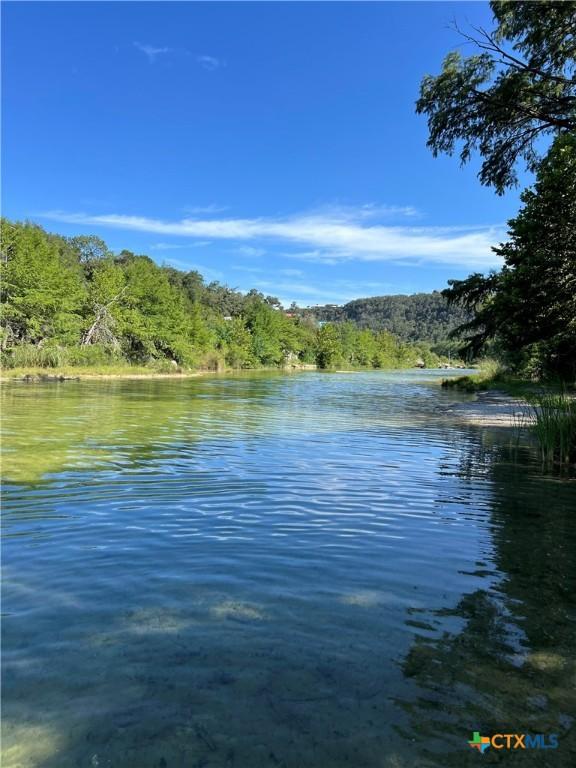 350 Climbing Way, Wimberley, TX 78676 - water view with a forest