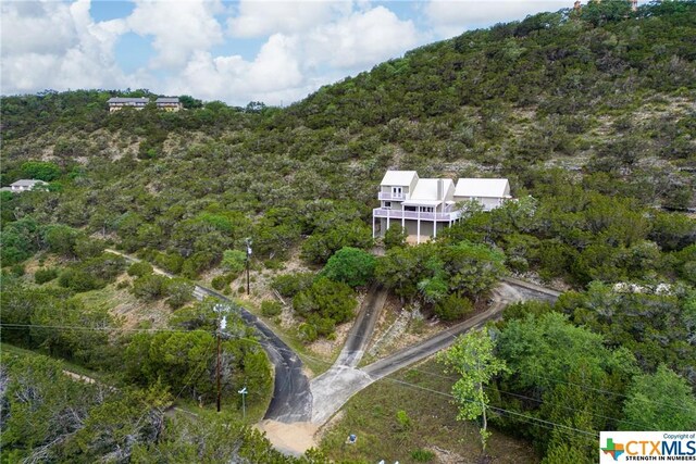 350 Climbing Way, Wimberley, TX 78676 - aerial view of property and surrounding area with a forest