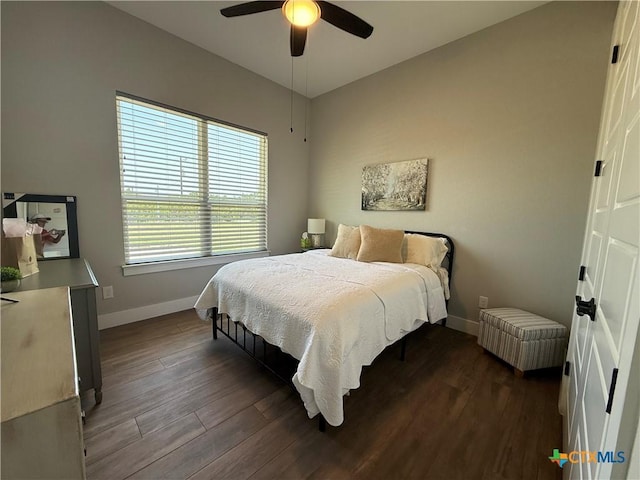 242 Flanders, Fischer, TX 78623 - photo 23