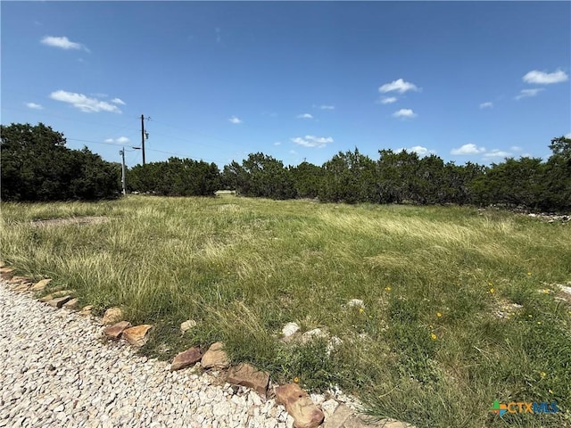 242 Flanders, Fischer, TX 78623 - photo 26