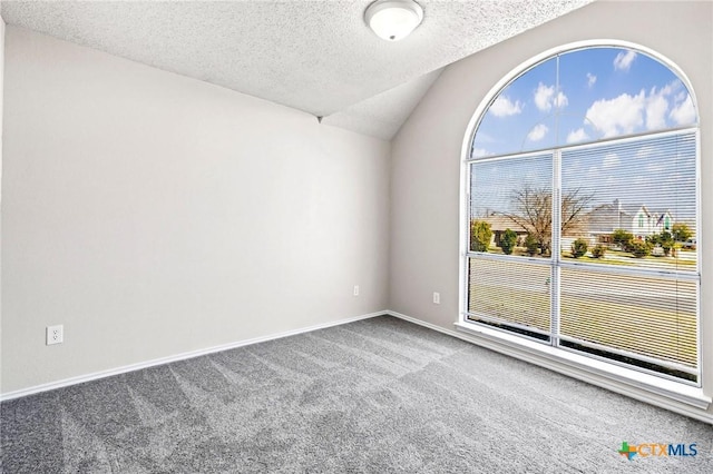 spare room with baseboards, a textured ceiling, carpet, and vaulted ceiling