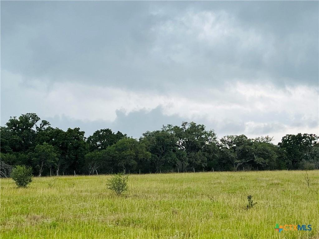 000 Rocky Rd, Cuero, TX 77954 - photo 3