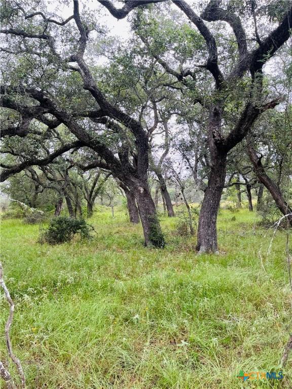 000 Rocky Rd, Cuero, TX 77954 - photo 4