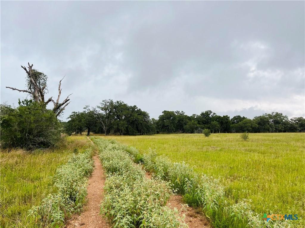 000 Rocky Rd, Cuero, TX 77954 - photo 2