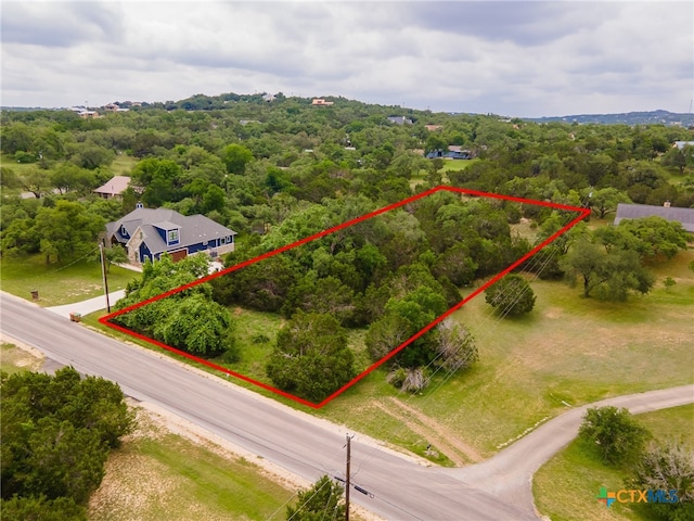 5205 Ascot Ave, Spring Branch, TX 78070 - photo 1
