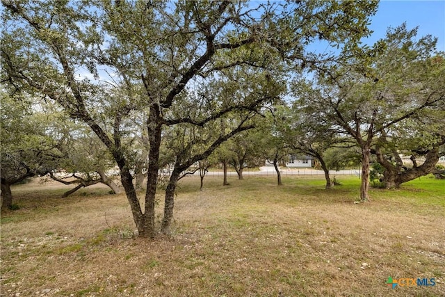 Listing photo 2 for 1232 Lavaca, Canyon Lake TX 78133