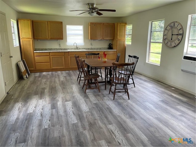 dining room featuring wood-type flooring, sink, and ceiling fan