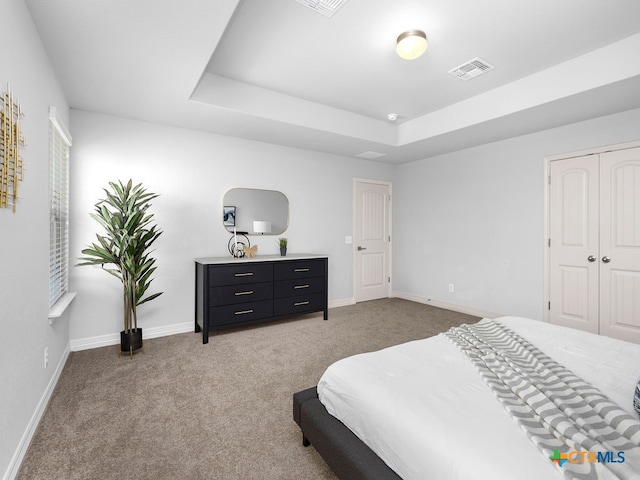 carpeted bedroom with a raised ceiling and a closet