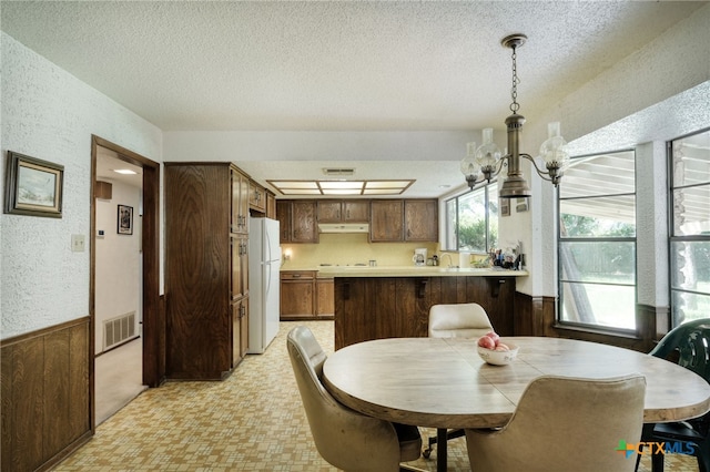 1104 Saint Williams Ave, Round Rock, TX 78681 - dining space featuring a textured wall, a textured ceiling, plenty of natural light, light floors, and a wainscoted wall