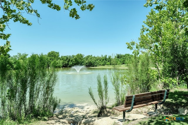 1104 Saint Williams Ave, Round Rock, TX 78681 - water view