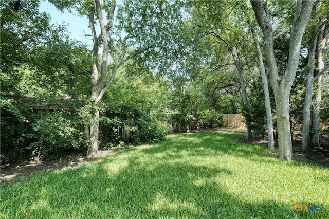 1104 Saint Williams Ave, Round Rock, TX 78681 - view of yard