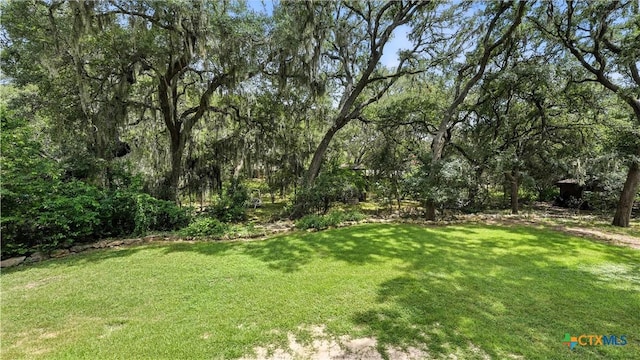 150 Spring Holw, New Braunfels, TX 78132 - photo 43