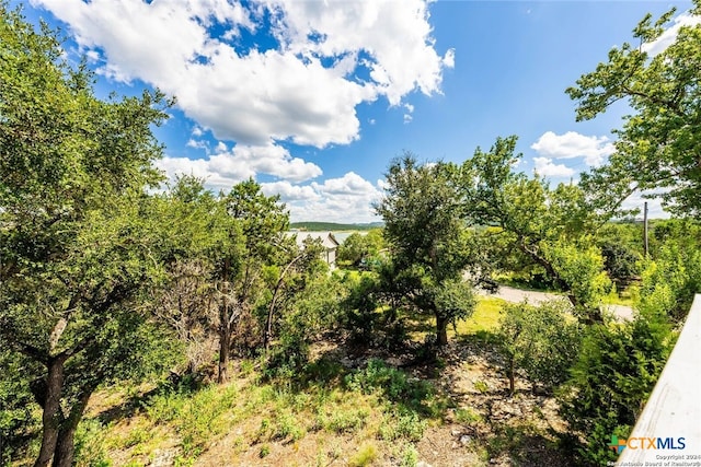 2792 Woodcrest Dr, Canyon Lake, TX 78133 - photo 15